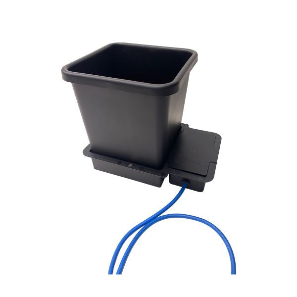 Autopot 1Pot Module