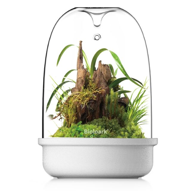 Bioloark - Bio Bottle MQ Series