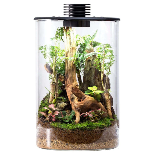 Bioloark Bio Cylinder Terrarium