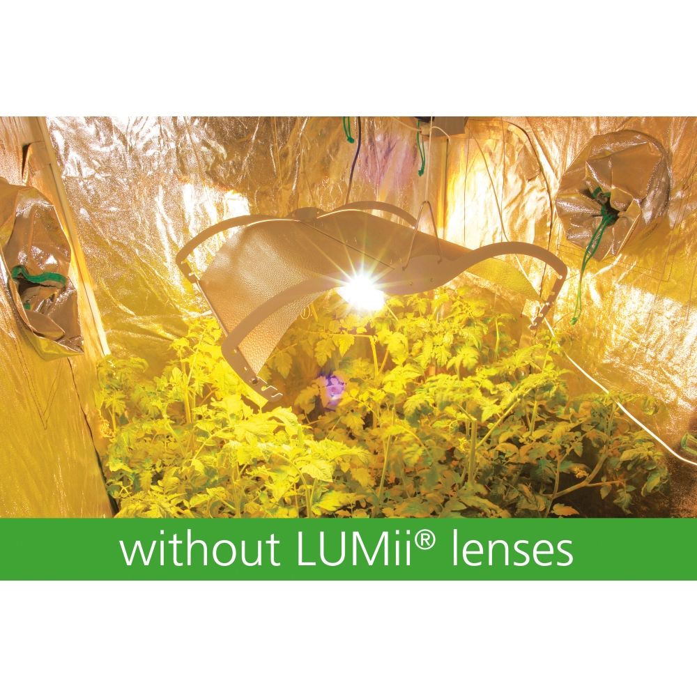 growroom, lenses, glasses, light