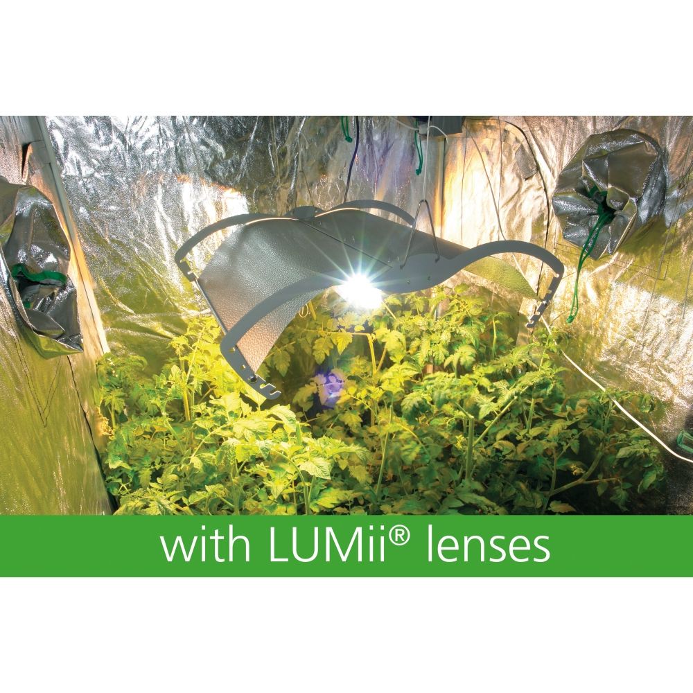 growroom, lenses, glasses, grow room, light