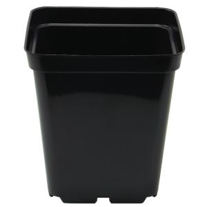 Square Pot 10cm - 0.7L