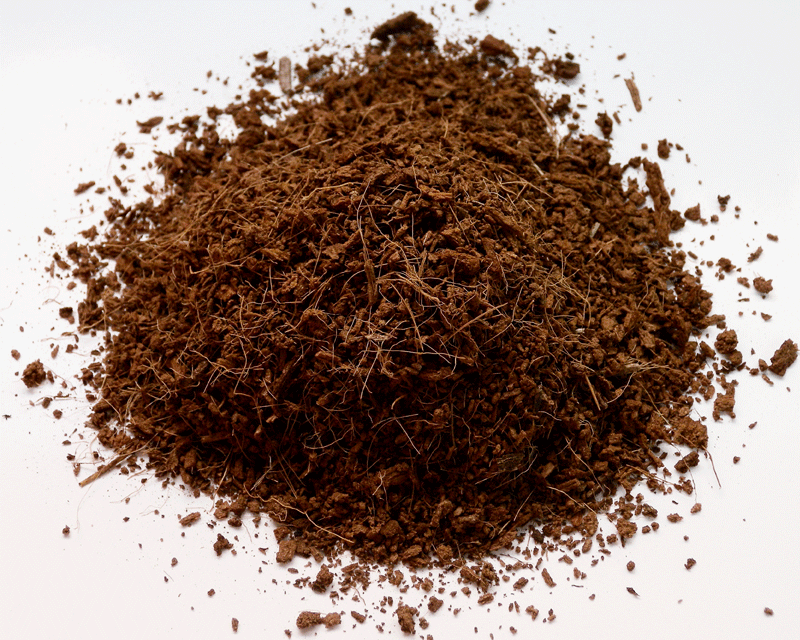coco peat, brick, builders warehouse, supplier, coco coir, wholesale, perlite, vermiculite, plant, soil, growing medium