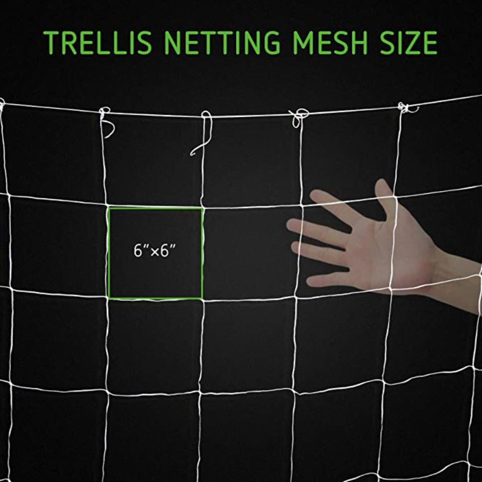 trellis netting, scrog, training, plant, mesh, plant TRAINING