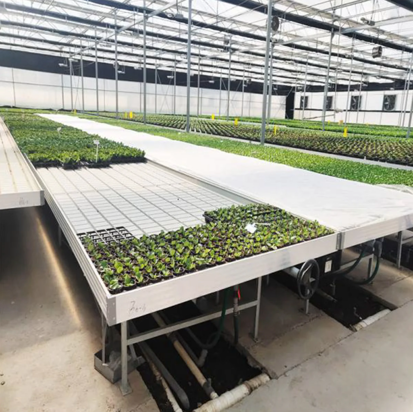 Rolling Bench - Plant Growing Table