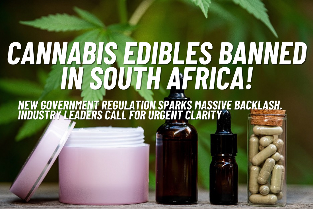 South Africa’s Cannabis Edibles Ban: A Crushing Blow to the Industry