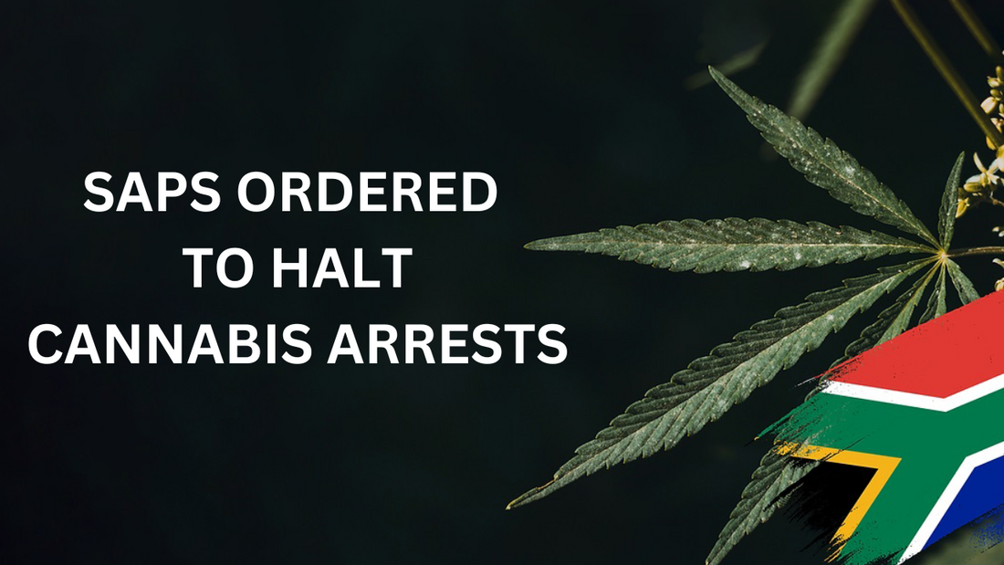 SAPS Receive Clear Instructions on Cannabis-Related Arrests