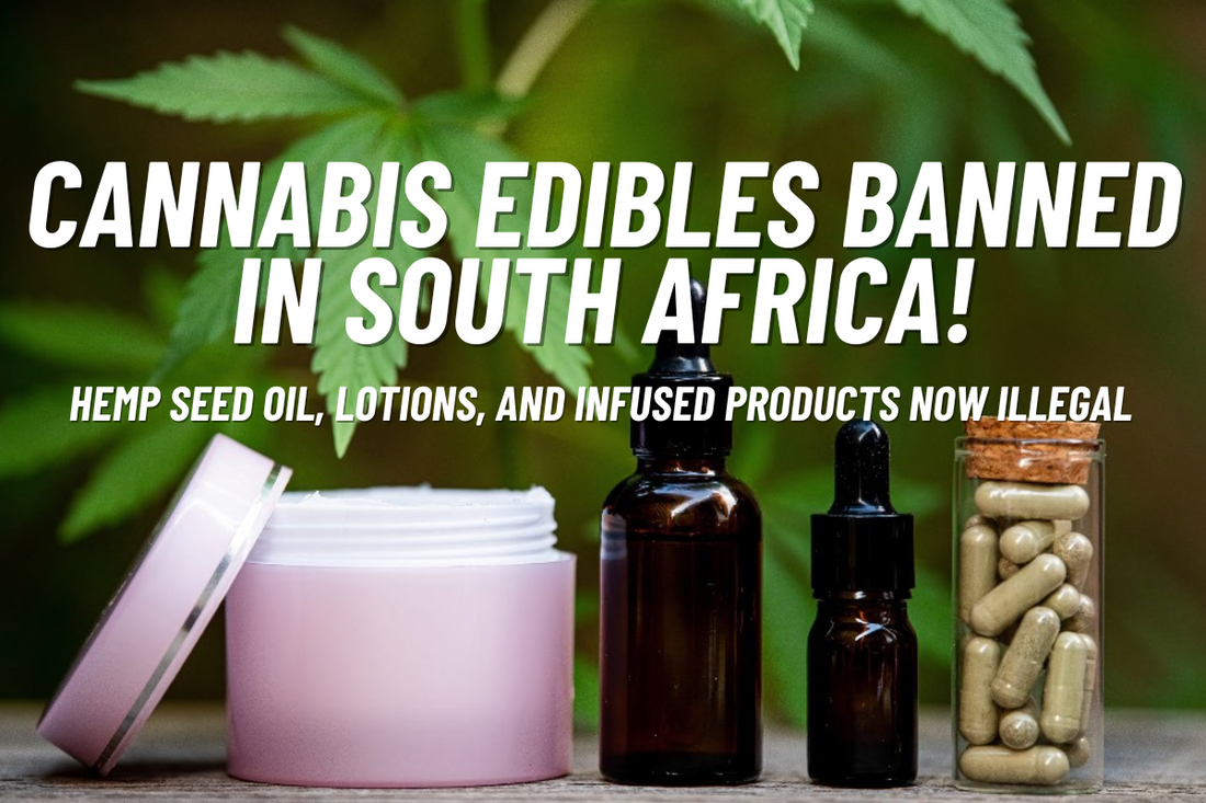 South Africa’s Cannabis Edibles Ban: A Crushing Blow to the Industry