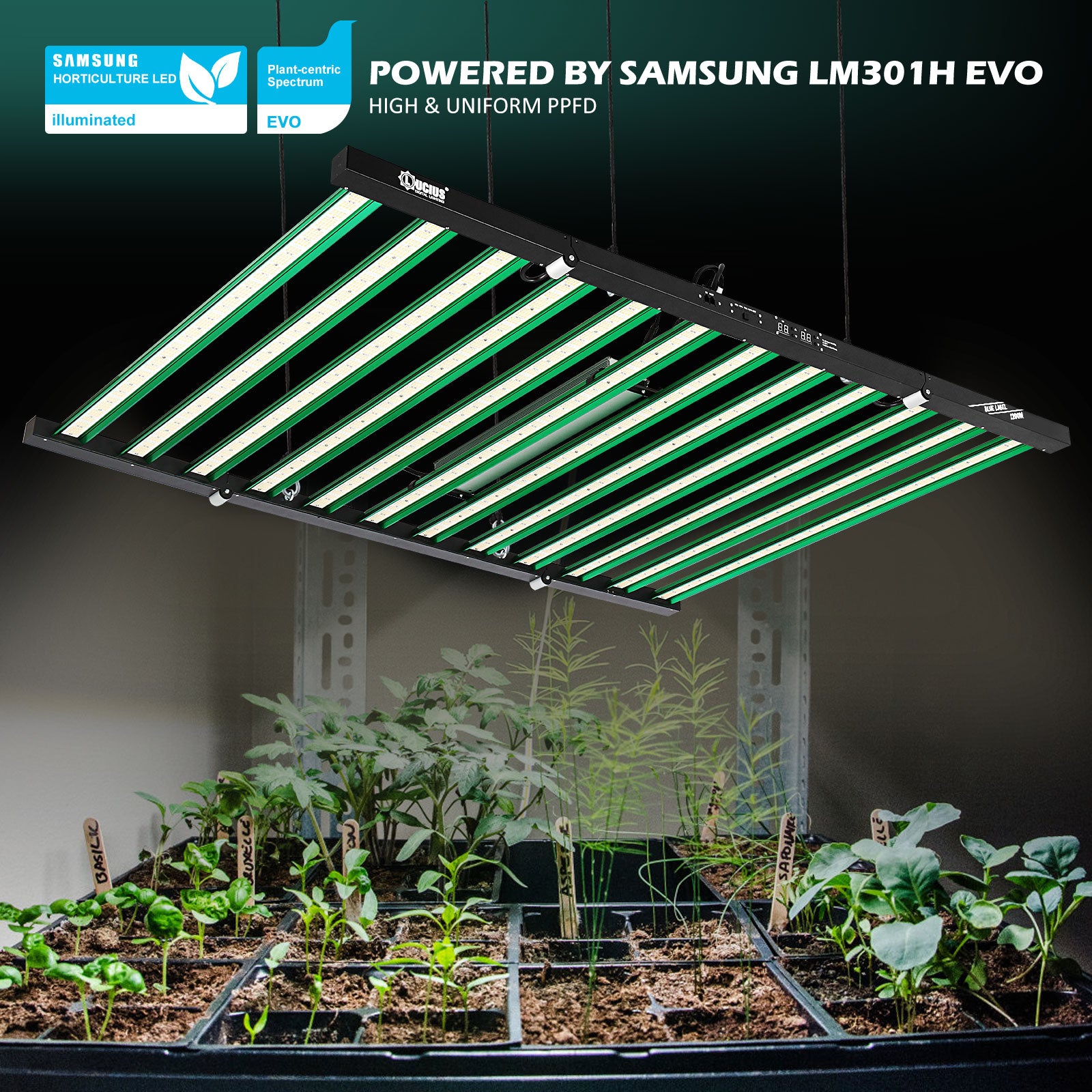 1200W Samsung LM301H EVO LED Grow Light +UV+lR | Lucius Blue label