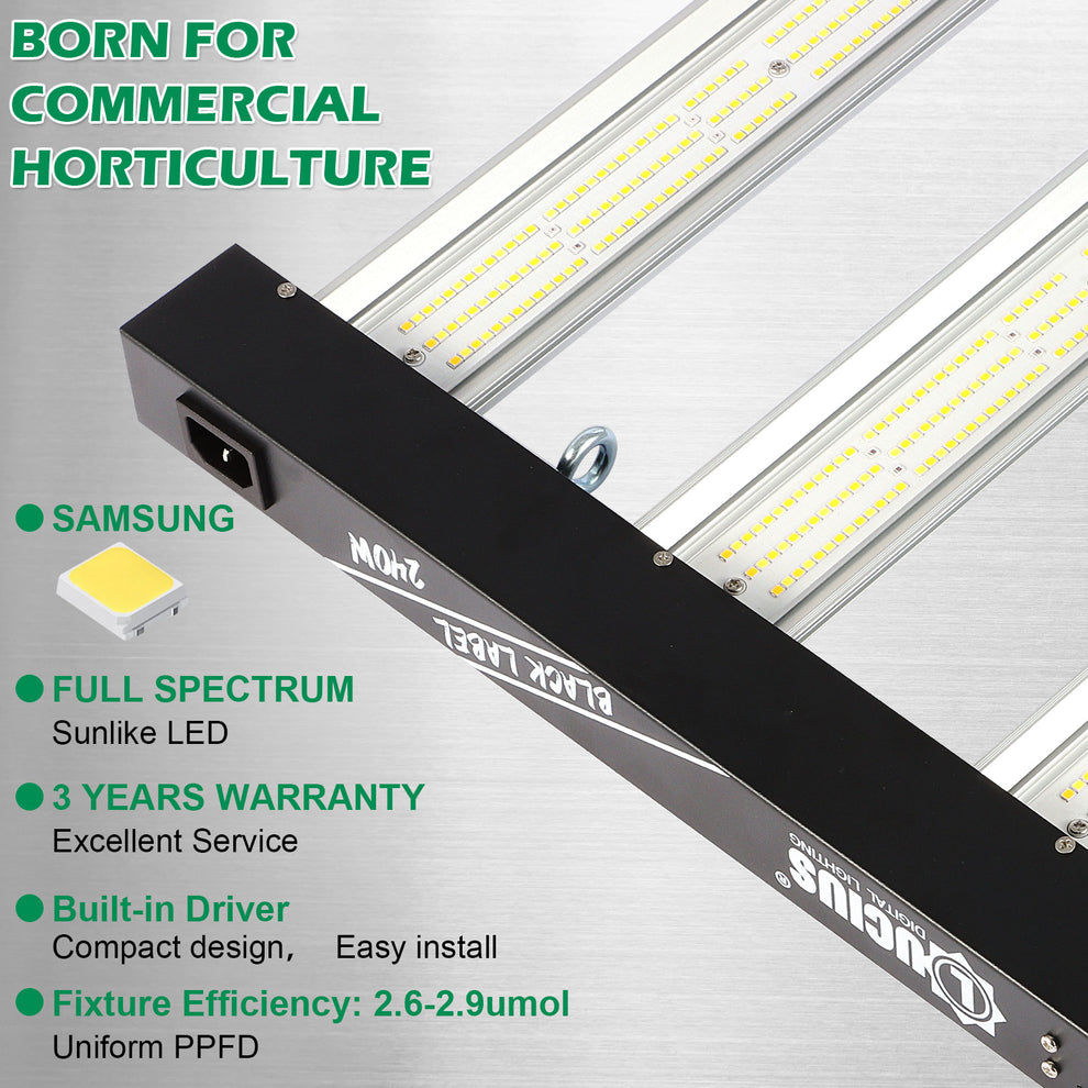240W Samsung LM281B LED Grow Light | Lucius Black Label – Plant Living