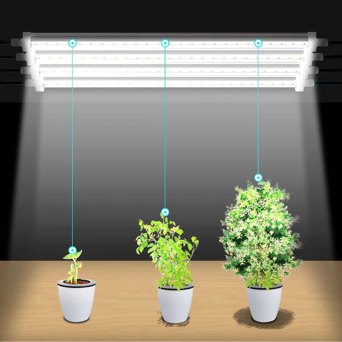 T8 LED Tube Grow Lights - Full Spectrum Samsung LED's for Seedlings, Microgreens, Herbs, Cloning & Indoor Plants