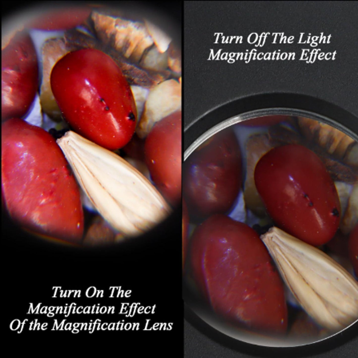 LED Glass Storage Jar with Magnifying Glass