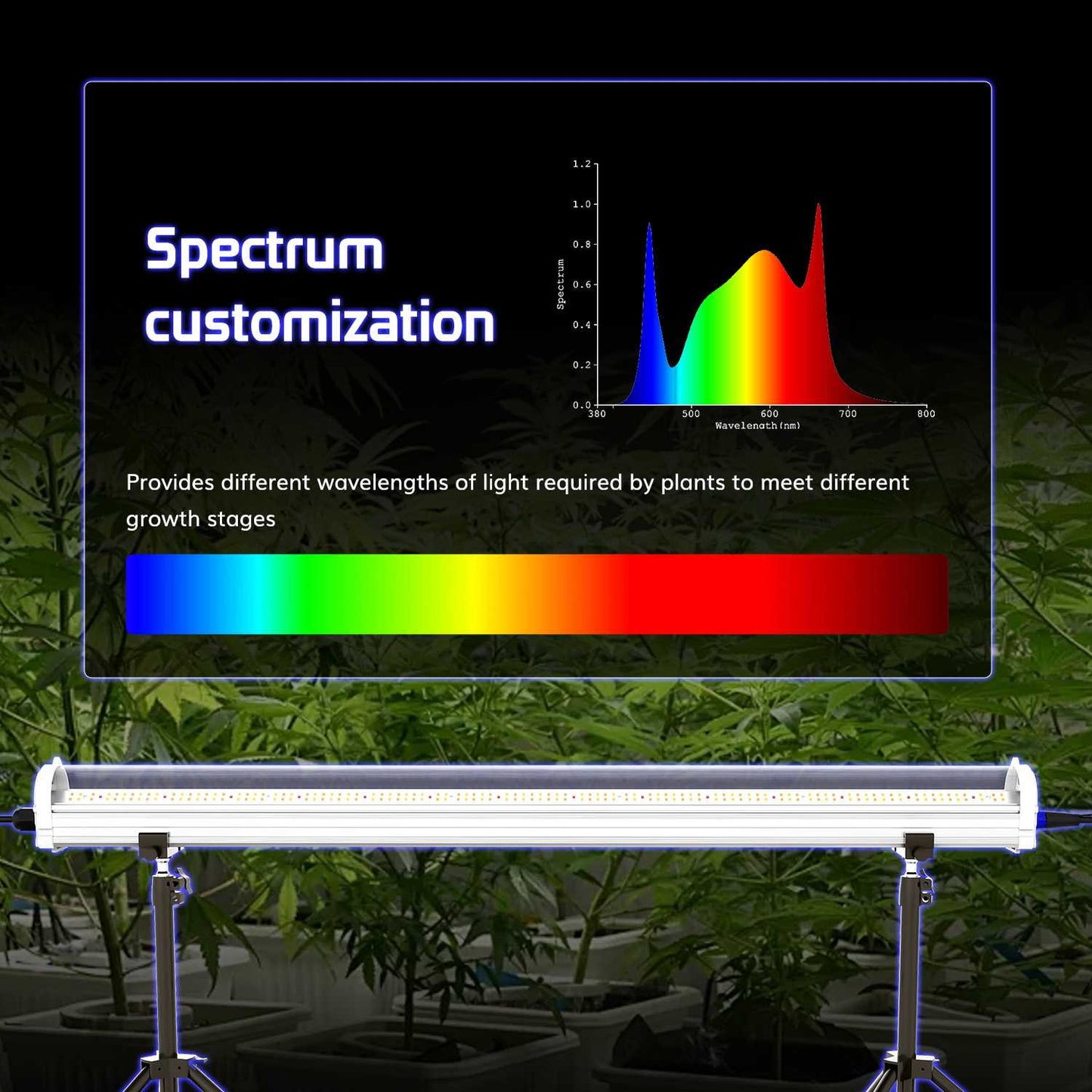 120W Under Canopy Lights Samsung 301B Full Spectrum Grow Light