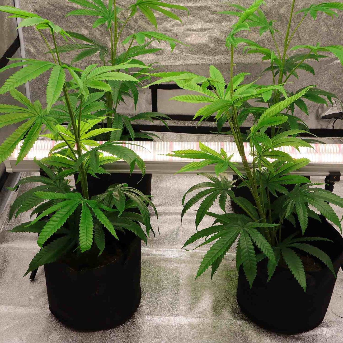 120W Under Canopy Lights Samsung 301B Full Spectrum Grow Light
