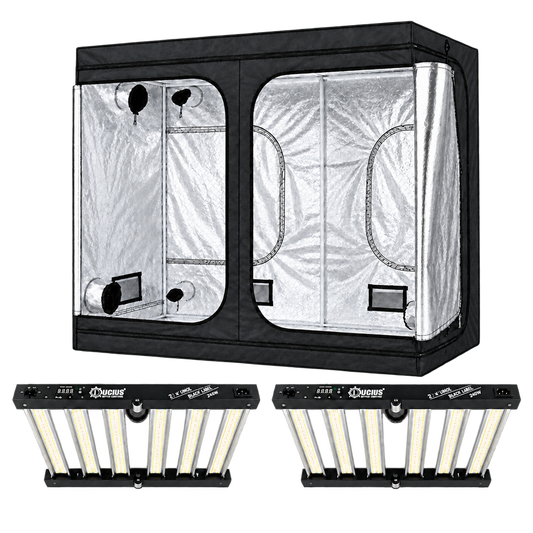 800W Grow Tent Kit (2.4mx1.2mx2m)
