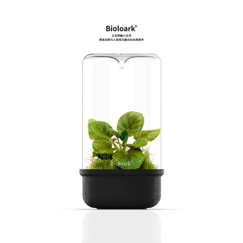 Bioloark -  Bio Bottle MH Series