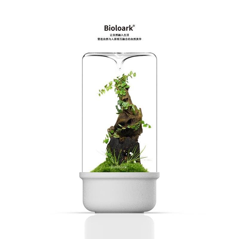 Bioloark -  Bio Bottle MH Series