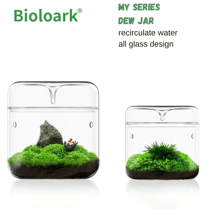 Bioloark Mini Drip Jar Terrarium