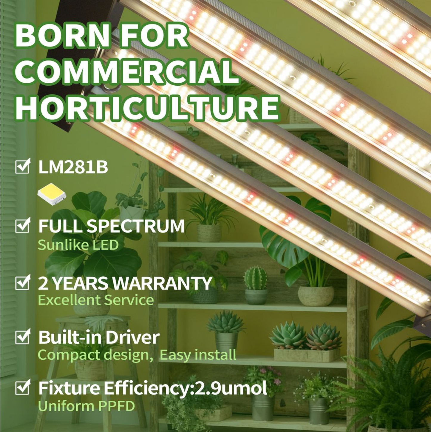 240W Samsung LM281B LED Grow Light | Programmable Sunrise/Sunset + Timer | Lucius Black Label