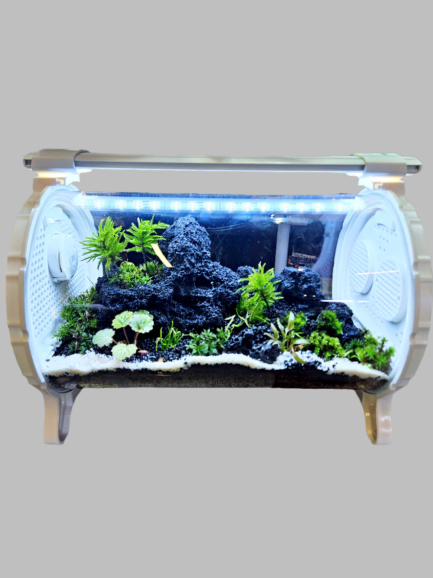 Biolark Biological Terrarium Chamber