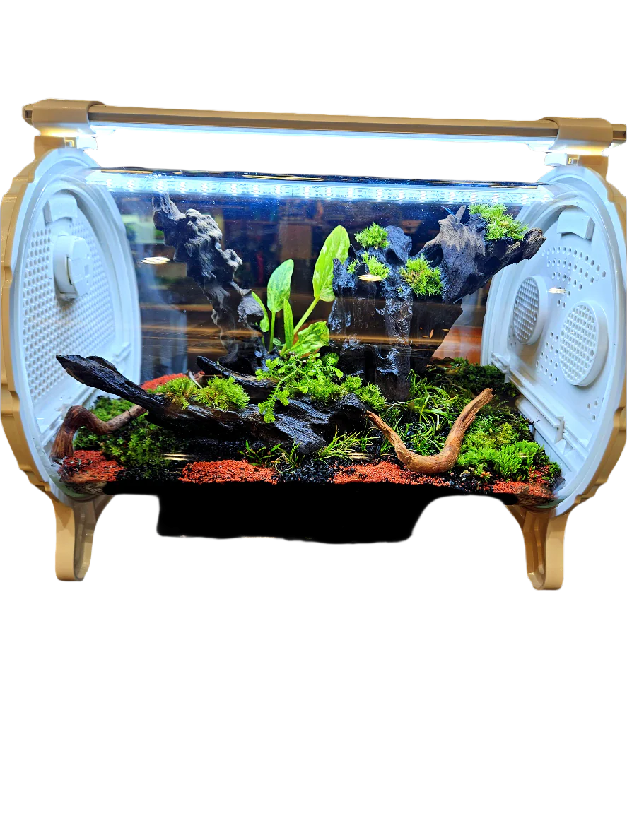 Biolark Biological Terrarium Chamber