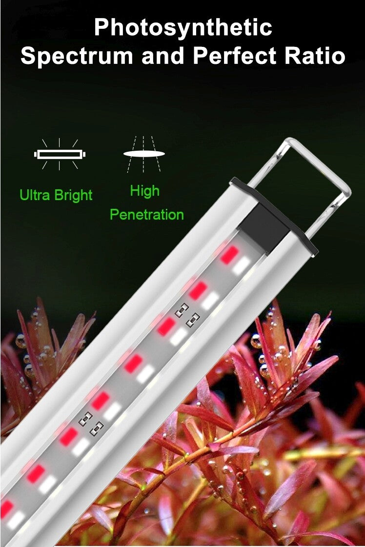 Zetlight LED Light MS Series (Plants)