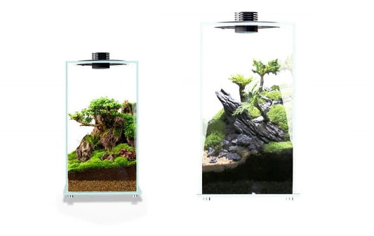 Bioloark Terrarium Bio Bottle with LED