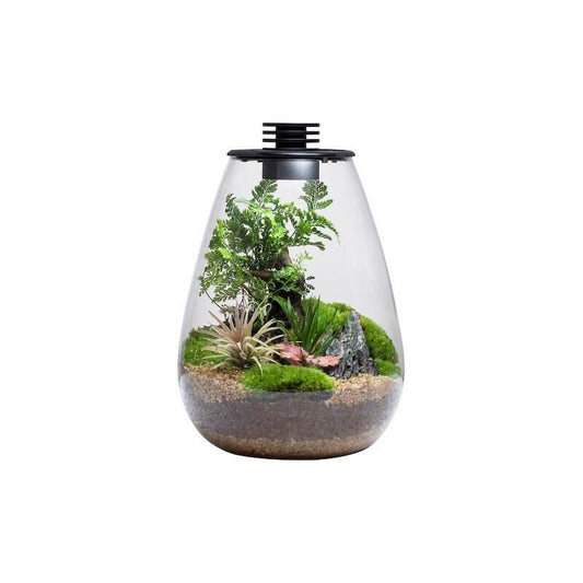 Bioloark Bio Bottle Terrarium