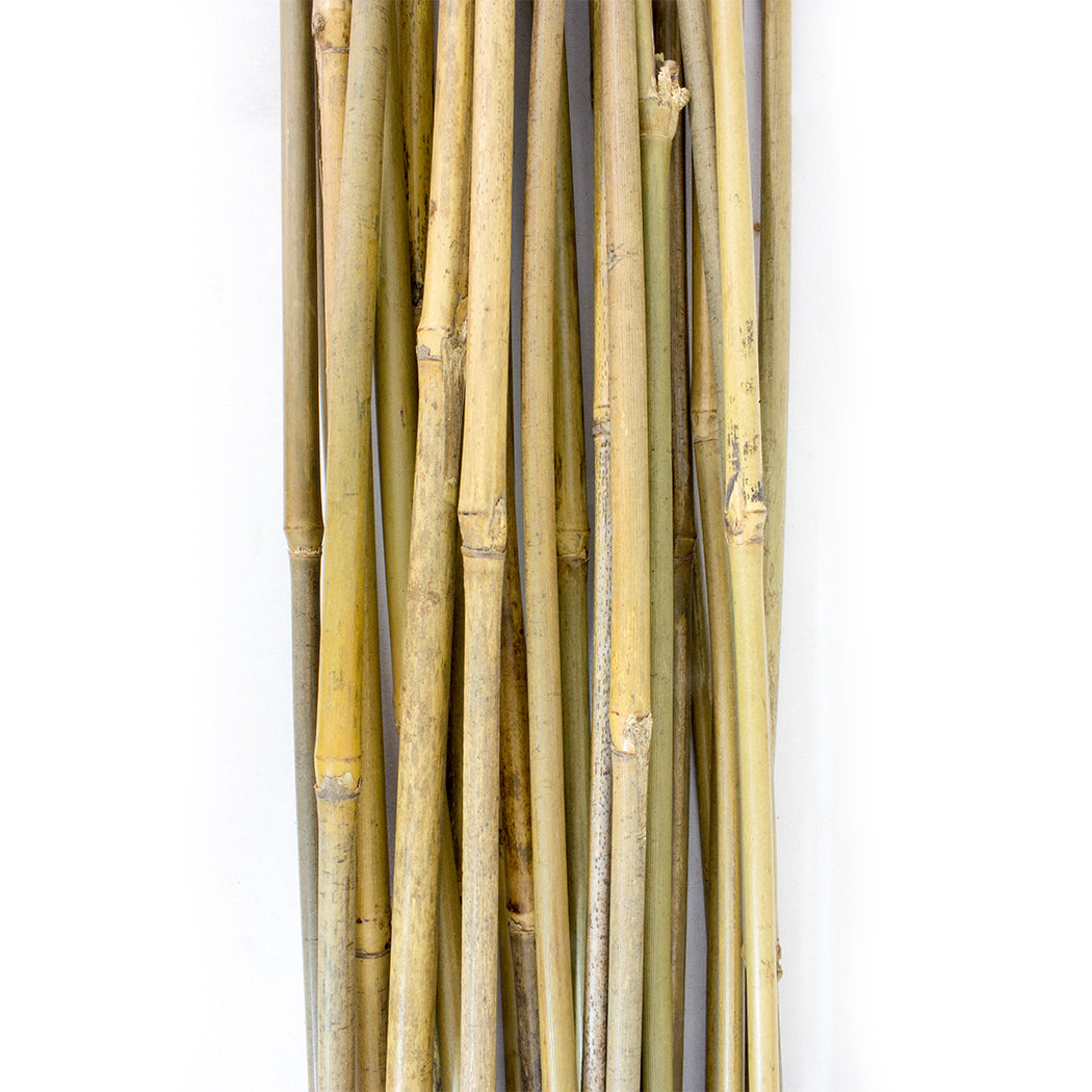 1.2m Bamboo Plant Stakes (25 pieces)