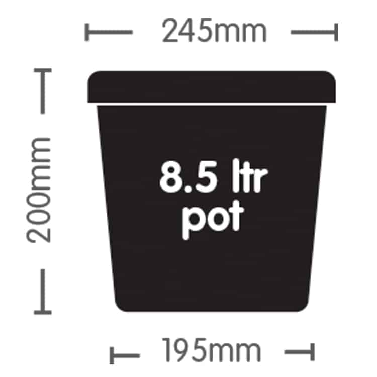 Auto8 AQUAValve5 (with 8.5L plastic pots)