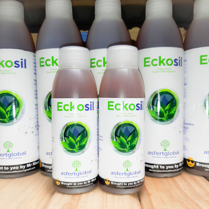 Eckosil Silicon Supplement 250ml