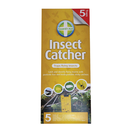 Insect Catcher - Pack of 5