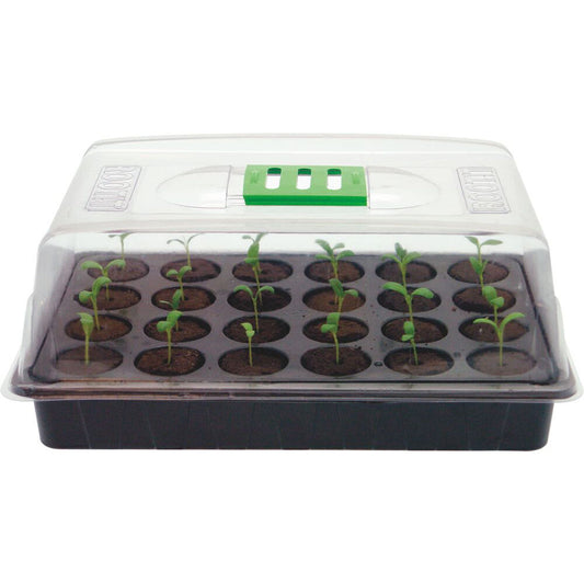 cloning, humidity, propagation, germinate, seedlings