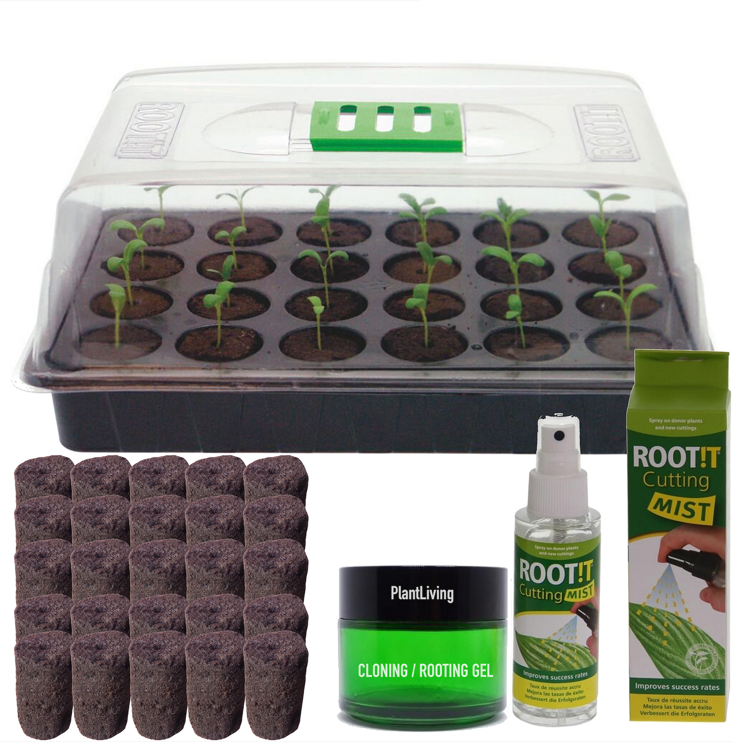 Plant Cloning Starter Kit